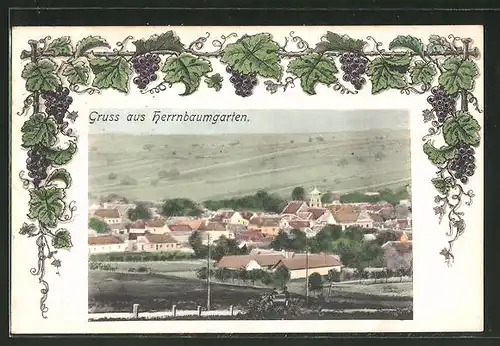 AK Herrnbaumgarten, Panorama vom Feld aus gesehen