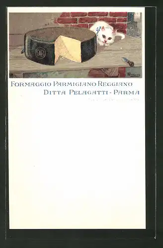 AK Parma, Formaggio Parmigiano Reggiano, Ditta Pelagatti-Parma, Katze am Käselaib