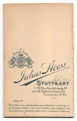 Fotografie Julius Stoess, Stuttgart, Portrait Dame mit zurückgebundenem Haar