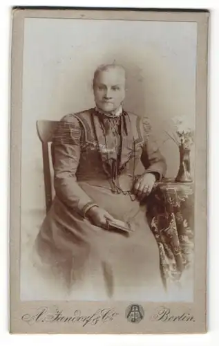 Fotografie A. Jandorf & Co., Berlin, Portrait bürgerliche Dame