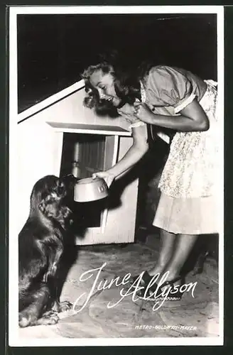 AK Schauspielerin June Allyson mit Hund