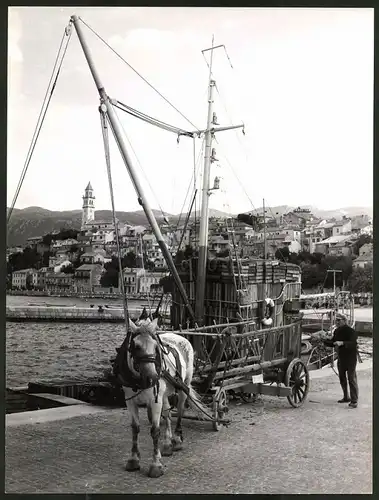 Fotografie Fotograf unbekannt, Ansicht Novi Vinodolski, Mann mit Pferdefuhrwerk im Hafen
