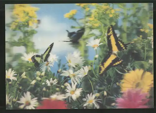 3D-AK Schmetterlinge auf einer Blumenwiese