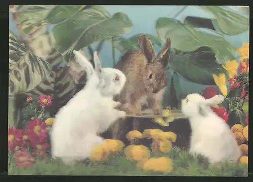 3D-AK Three Rabbits, 3 Hasen auf einer Wiese an einem Baumstumpf