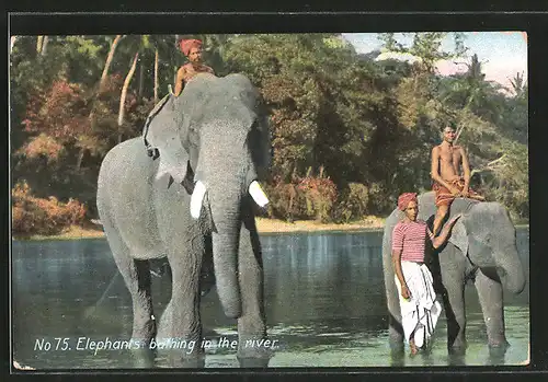 AK Indien, Elefanten baden im Fluss