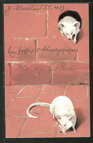 Präge-AK Weisse Ratten kommen aus einem Loch in der Mauer