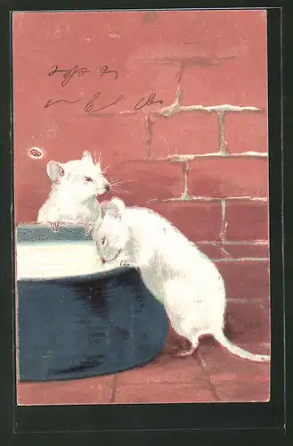 Präge-AK Weisse Ratten saufen aus einem Milchnapf