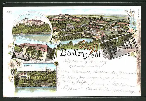 Lithographie Ballenstedt, Grosser Gasthof, Ziegenberg, Schloss