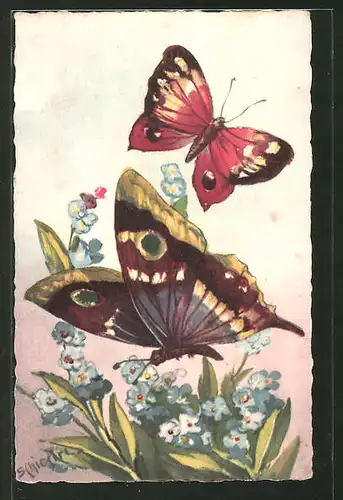 Künstler-AK Carlo Chiostri: Zwei Schmetterlinge mit Blumen