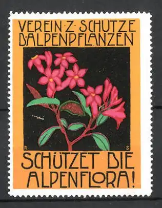 Reklamemarke Verein zum Schutze der Alpenpflanzen, rote Pflanze