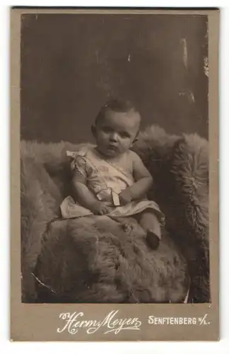 Fotografie Herm. Meyer, Senftenberg N. / L., Kleinkind auf einem Fell