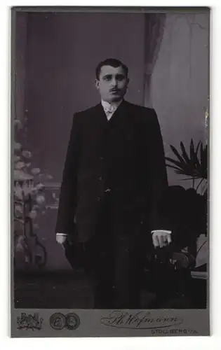 Fotografie Ph. Hofmann, Stollberg i/S, Portrait junger Mann in Anzug