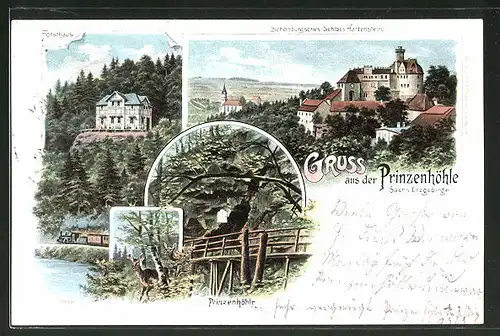 Lithographie Hartenstein, Schloss, Prinzenhöhle, Forsthaus