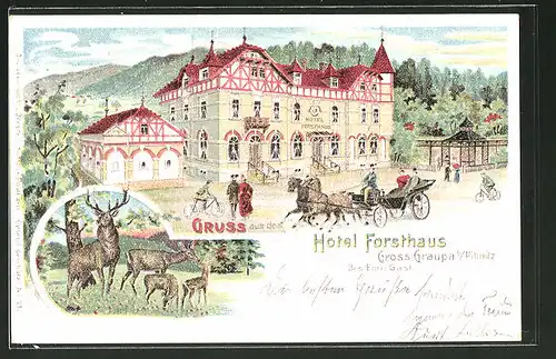 Lithographie Gross-Graupa, Pferdekutsche vor dem Hotel Forsthaus