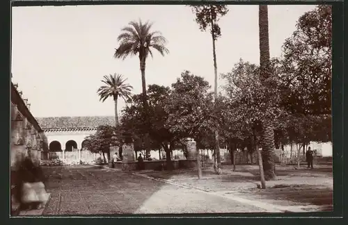 Fotografie Fotograf unbekannt, Ansicht Cordoba, Orangenhain auf dem Hof der Kathedrale