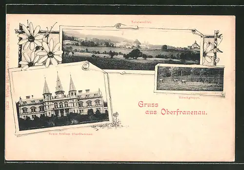 AK Oberfrauenau, Totalansicht, Neues Schloss, Hirsche