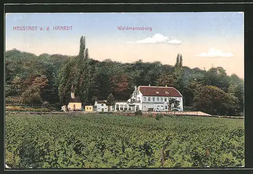 AK Neustadt a. d. Haardt, Blick zur Waldmannsburg