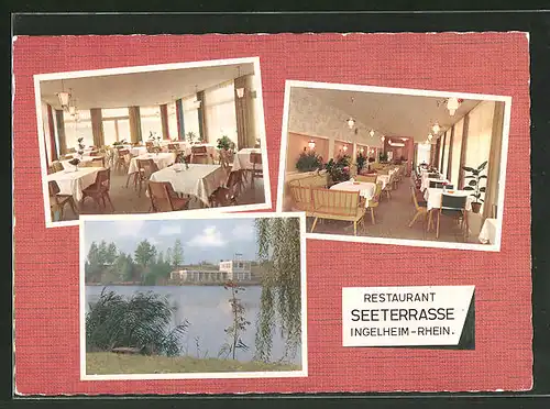 AK Ingelheim / Rhein, Restaurant Seeterrasse, Innenansicht