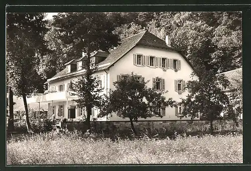 AK Klingenmünster, Gasthof-Ferienheim Klingbachhof