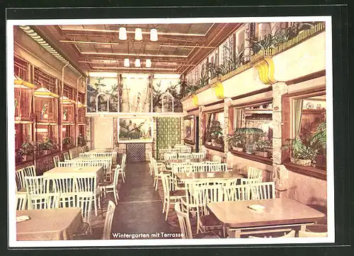 AK Frankfurt, Eis-Cafe WiPra - Cafe der Tierfreunde, Neue Kräme 27, Wintergarten mit Terrarium