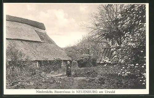 AK Neuenburg / Urwald, Niedersächs. Bauernhaus