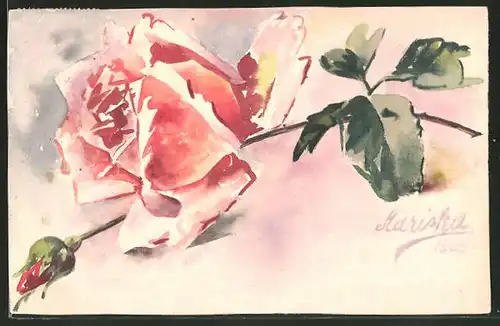 Künstler-AK Handgemalt: Voll erblühte rosa Rose und Knospe