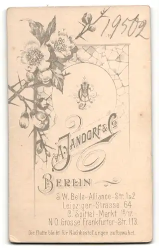 Fotografie A. Jandorf & Co, Berlin, feiner Herr in Anzug und Krawatte