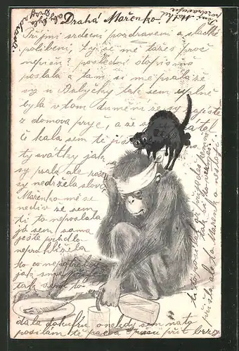 Künstler-AK Handgemalt: Affe mit Kopfbinde, Fisch & Katze auf dem Buckel, Trinkerhumor