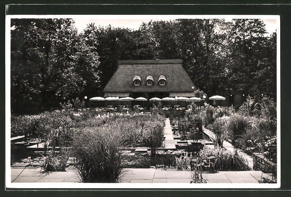 Ak Dresden Jahresschau Ausstellung 1937 Garten Und Heim