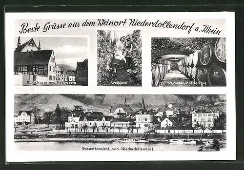 AK Niederdollendorf a. Rhein, Dorfstrasse & Petersberg, Weinlese, Weinkeller Bredershof