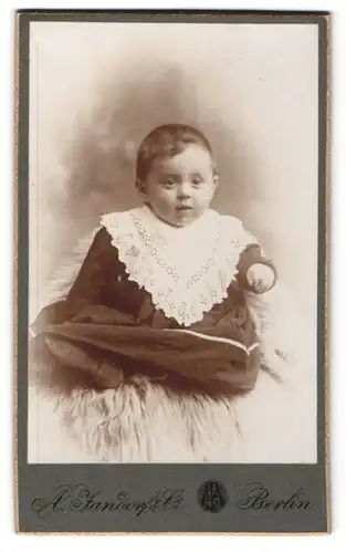 Fotografie A. Jandorf & Co, Berlin, niedliches Baby im hübschen Kleid