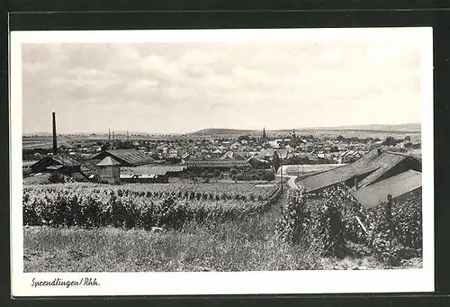 AK Sprendlingen / Rhh., Blick zum Ort