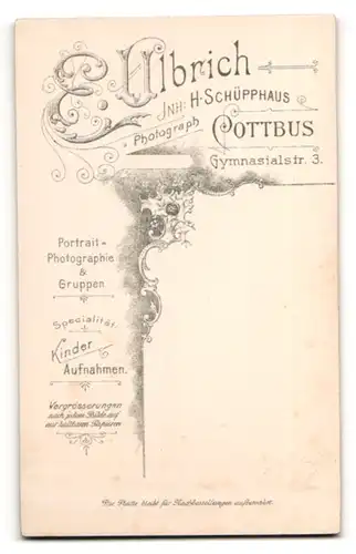 Fotografie E. Ulbrich, Cottbus, Portrait bürgerliches Paar