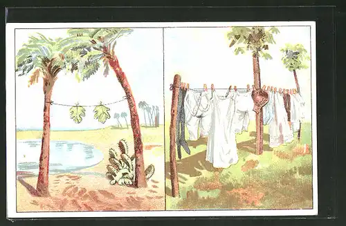 AK Wäsche auf der Leine früher und heute - Feigenblätter und Leinenschlüpfer