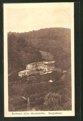 AK Bergzabern, Kurhotel-Eich-Westenhöfer aus der Vogelschau