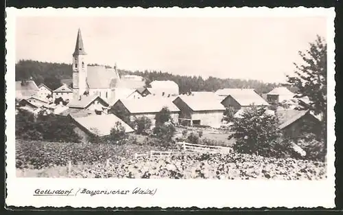 AK Gottsdorf / Bayerischer Wald, Ortsansicht mit Kirche