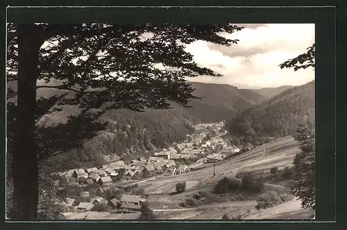 AK Schleusingerneundorf, Ortspanorama vom Berg aus gesehen