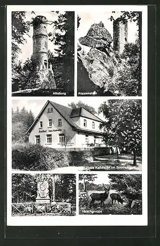 AK Sobernheim, Hotel Haus Kallweiler, Denkmal Jäger aus Kurpfalz, Hirschgruppe, Alteburg, Koppenstein