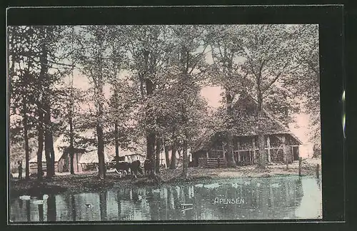 AK Apensen, Bauernhaus am Wasser
