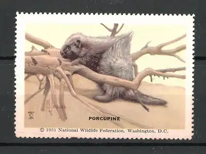 Künstler-Reklamemarke National Wildlife Federation, Tier-Serie: Porcupine