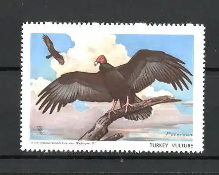 Künstler-Reklamemarke Peterson, National Wildlife Federation, Tier-Serie: Turkey Vulture