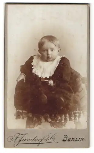 Fotografie A. Jandorf & Co., Berlin, Portrait Kleinkind in Kleidchen