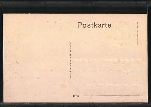 AK Bockenem, Wiesenstrasse mit Kaiserl. Postamt und Kreis-Sparkasse