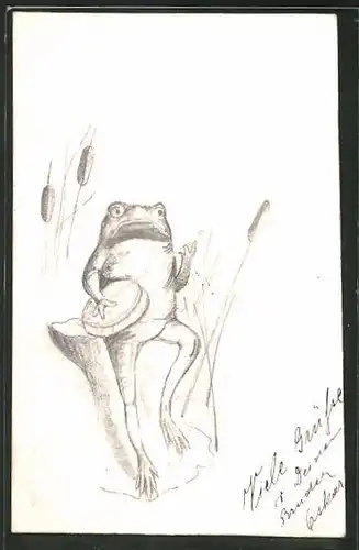 Künstler-AK Handgemalt: Frosch spielt auf einem Banjo, vermenschlichte Tiere