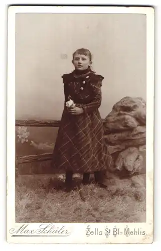 Fotografie Max Schüler, Zella St. Bl.-Mehlis, Portrait Mädchen in kariertem Kleid