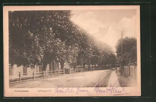 AK Kellinghusen, Blick in die Vorbrüggerstrasse