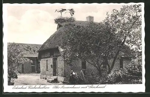 AK Fischerkathen /Ostsee, altes Bauernhaus mit Storchnest & Störchen