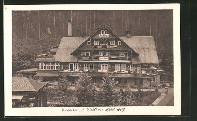 AK-Woelfelsgrund-Blick-auf-das-Waldhaus-Hotel-Weiss.jpg