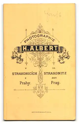 Fotografie H. Albert, Strakonitz, Portrait edler Herr mit Schnurrbart in edler Jacke