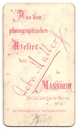 Fotografie Gebr. Matter, Mannheim, Portrait junger Mann mit Vollbart